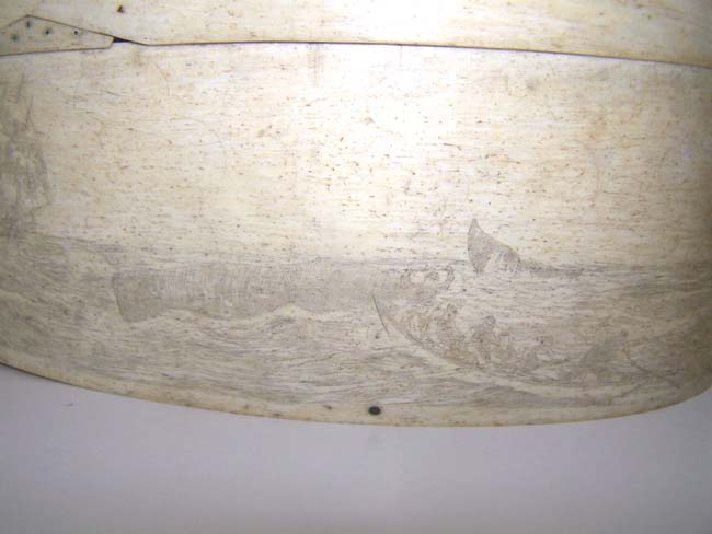 A large oval 19th century 'Four Finger' ANTIQUE Scrimshawed Whalebone 'DITTY" Box — image 4
